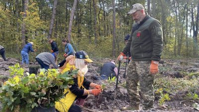 У Львівському лісгоспі садили «Ліси єднання»