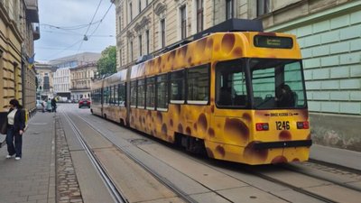 У Львові розкритикували ЛеоКарт Садового
