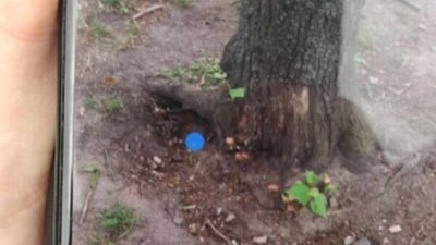 Львівські ТОРівці виявили підозрілих осіб, які ймовірно, розповсюджували наркотики