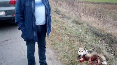 Колишній заступник мера прив’язав собаку до автомобіля та тягнув по дорозі (ВІДЕО)