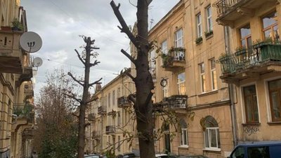 У Львові знищили дерева (ФОТО)