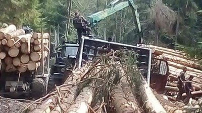 Повені на Західній Україні: хто заробляє на стихійних лихах (ВІДЕО)