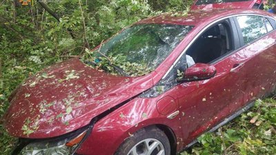 На Львівщині жінка злетіла з траси і застрягла поміж дерев