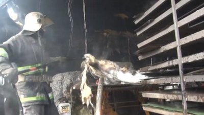 У Львові на автомобільній стоянці згорів торгівельний кіоск