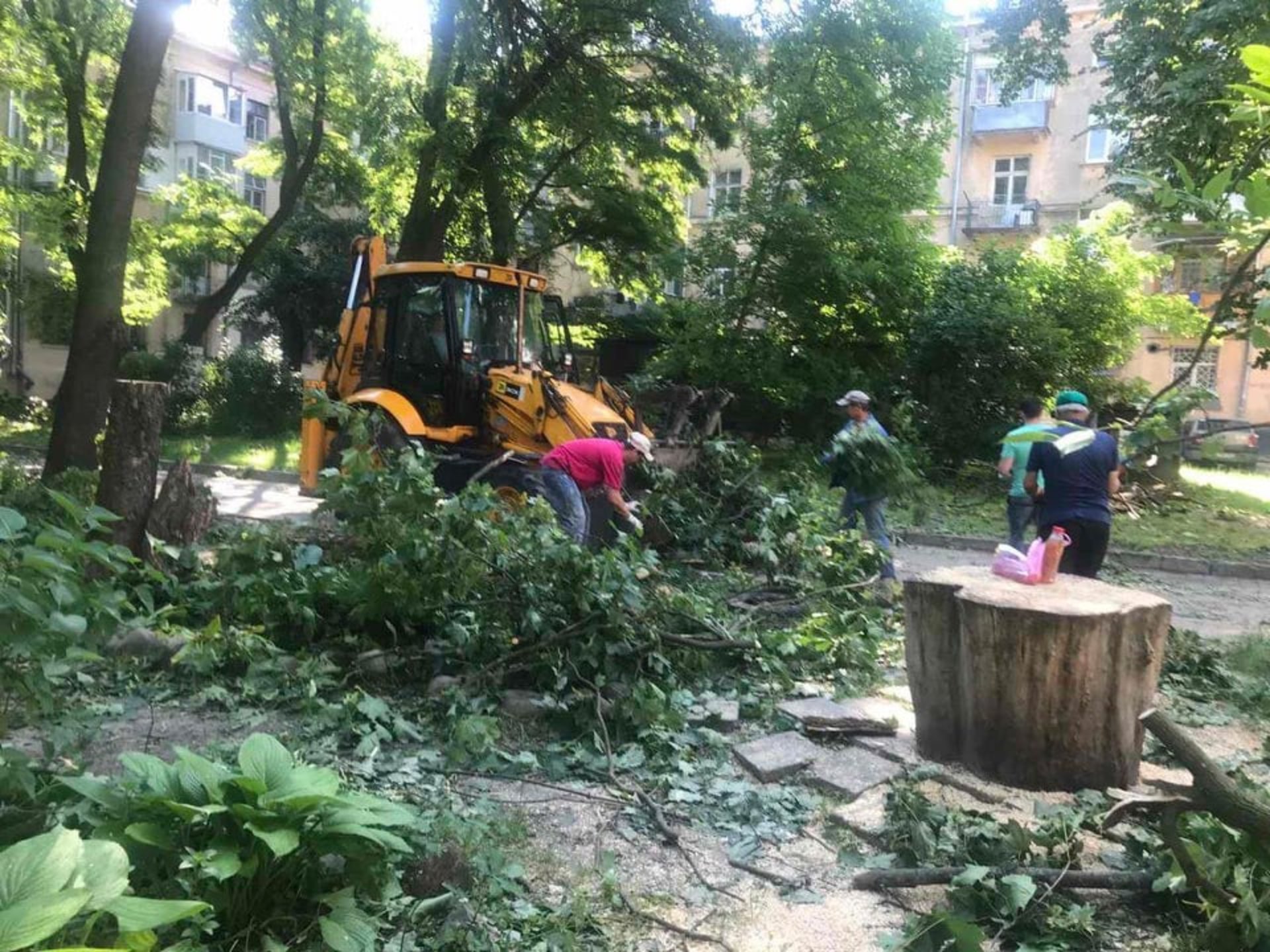 У Львові комунальні служби продовжують прибирати місто від наслідків негоди, фото ЛМР
