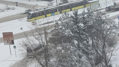 У Львові через сніг зупинився рух