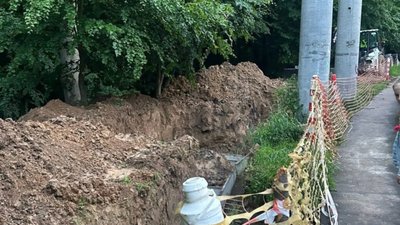 У Львові у парку вирубують дерева