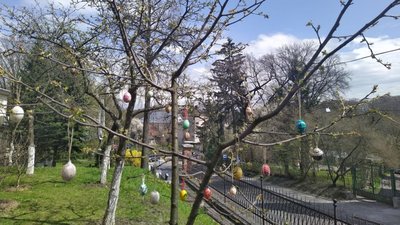 Львівські пластуни прикрасили писанками дерева у Домі Франка (ФОТО, ВІДЕО)