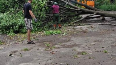У Львові негода повалила рекламний щит