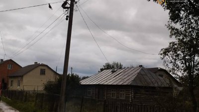 На Львівщині горіло гніздо лелек (ФОТО)