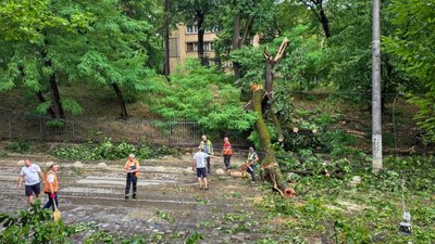 У Львові негода перекрила рух (ФОТО)