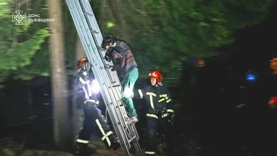 У Львові пухнастий бешкетник заманив господарку на дерево