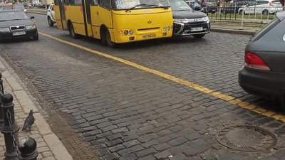 У Львові на Городоцькій намалювали смугу для громадського транспорту (ФОТО)