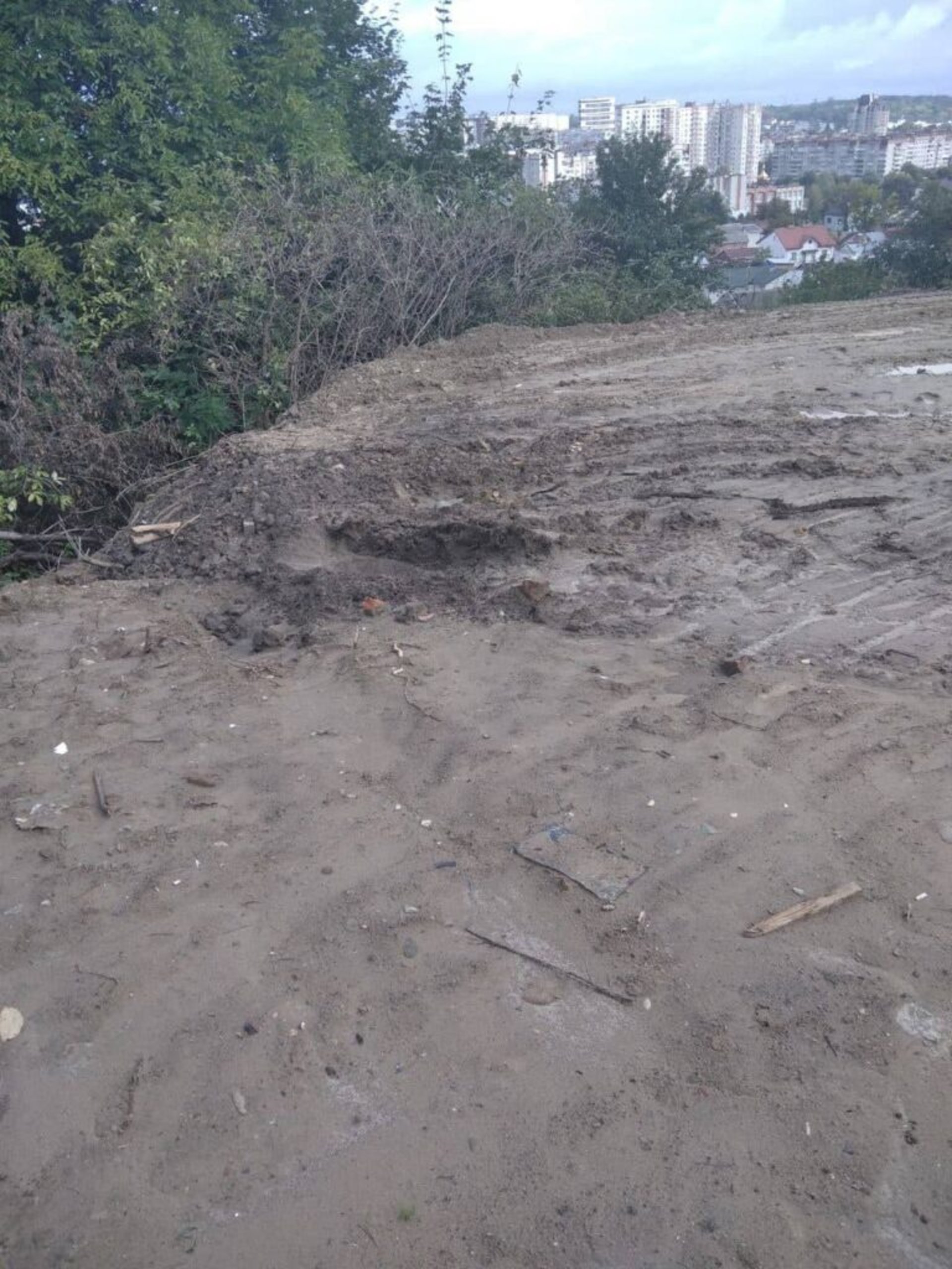 У Львові самовільно захопили землю і зрізали дерева