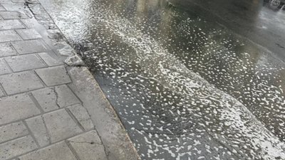 У Львові після ремонту на вулиці зупиняється вода (ФОТО)