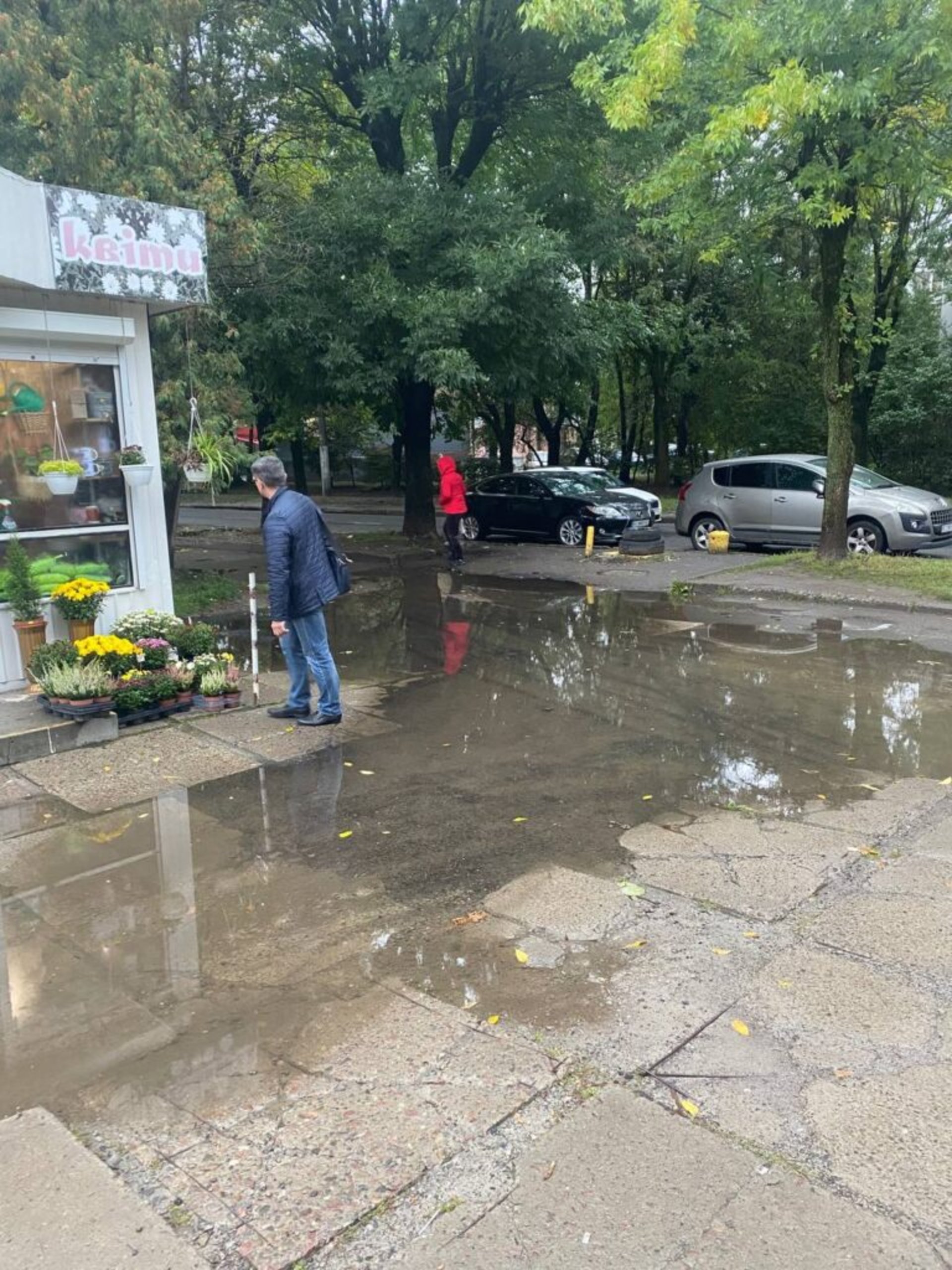 У Львові просять відремонтувати вулицю Угорську