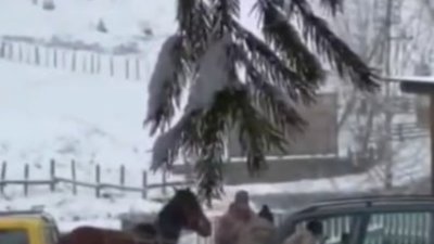 На Буковині затримали чоловіків, які із сокирами напали на працівників ТЦК