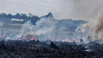 На Львівщині зафіксували 18 пожеж сухої трави