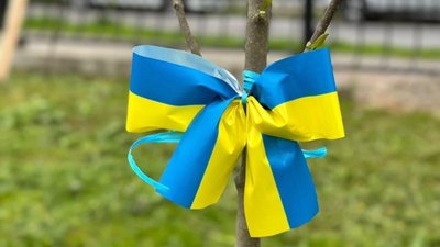 У Жовкві висадили алею магнолій (ФОТО)