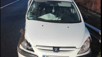 На Львівщині легковик на єврономерах протаранив маршрутку: водій залишив авто і втік з місця ДТП