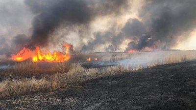 На Сокальщині через паліїв трави згоріли три дачі (ФОТО)