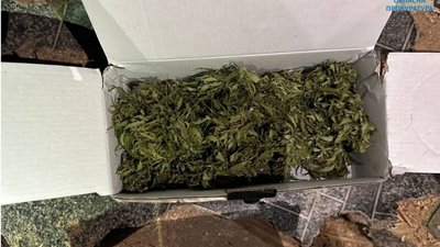 Судитимуть двох мешканців Яворівщини за збут канабісу та амфетаміну