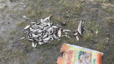 На Львівщині поблизу траси "Київ - Чоп" незаконно виловлювали рибу (ФОТО)