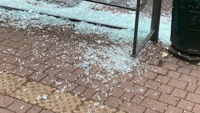 У Львові невідомі розтрощили зупинку (ФОТО)