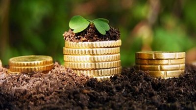 На Львівщині можна придбати земельні ділянки сільськогосподарського призначення