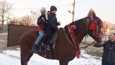 Як на Самбірщині у день  Введення вітали селян: з конем і когутом (ФОТО)