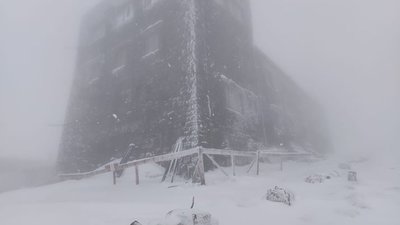 Сніг у травні: в Карпатах неочікувано випало до 15 см снігу (ФОТО)