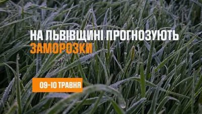 На Львівщині заморозки