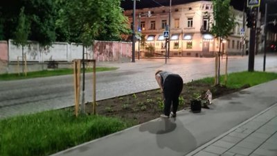 У Львові на вулиці Шевченка жінка висадила квіти (ФОТО)