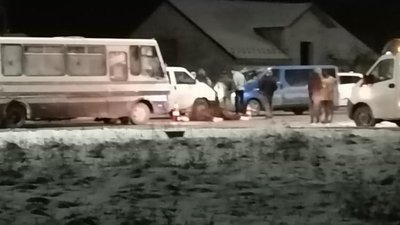У Львівській області рейсовий автобус збив коня (ФОТО)
