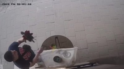 У центрі Львова чоловік вкрав букет квітів (ВІДЕО)