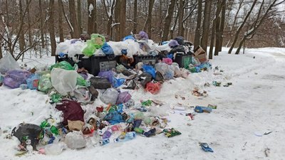 У Львові знову не вивозять сміття (ФОТО)
