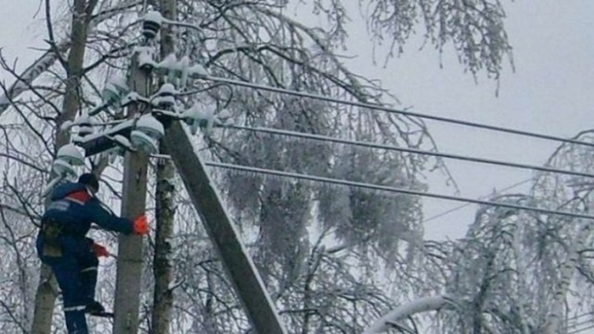 Фото: "Яворів Інфо"