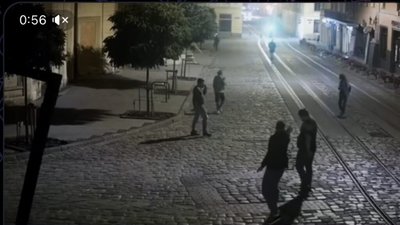 У Львові компанія молодиків викрала таблички з-під дерев