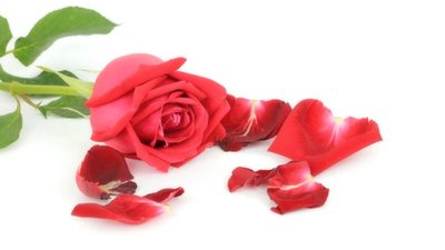 У Львові дівчина через ревнощі побила хлопця букетом троянд