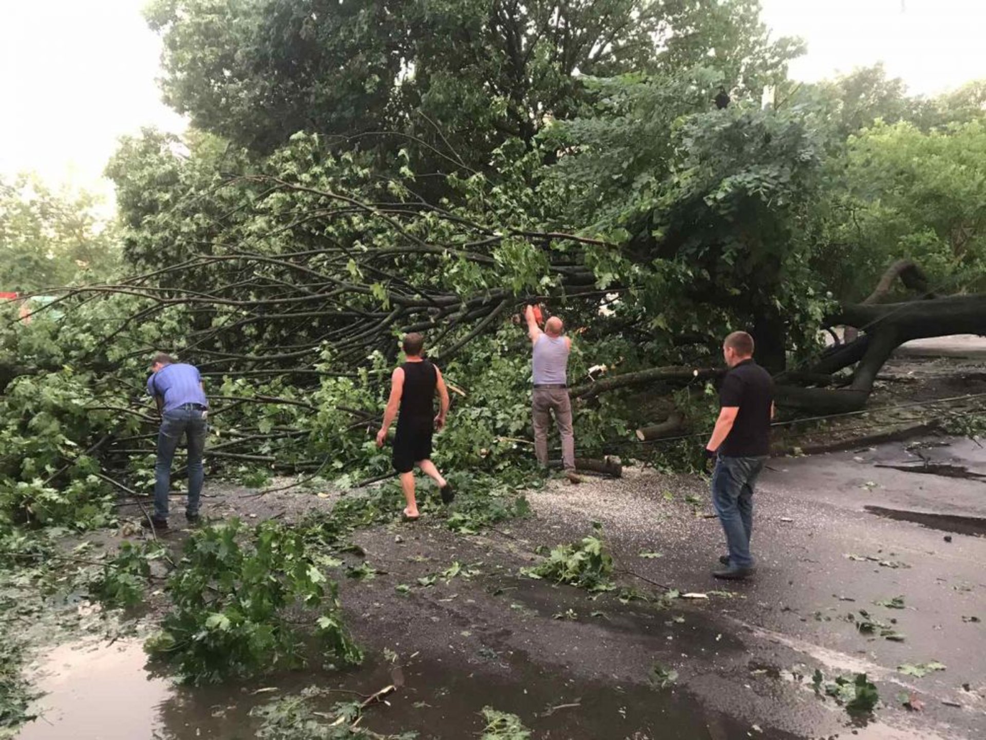 У Львові комунальники продовжують прибирати наслідки негоди, фото ЛМР