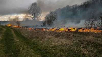 Львівщина: 8 пожеж в екосистемах за одну добу
