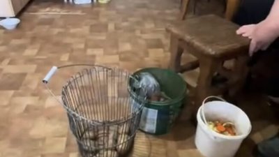 Як у селах на Львівщині живуть люди (ВІДЕО)