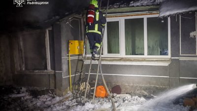 На Львівщині врятували двох котів
