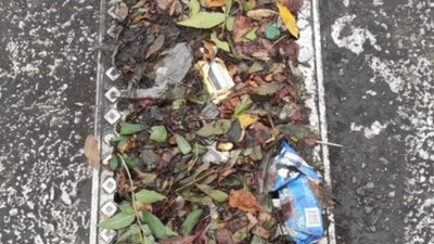 У Львові дощоприймачі забиті сміттям (ФОТО)