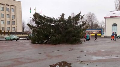 На Житомирщині ялинка зламалася навпіл (ФОТО, ВІДЕО)