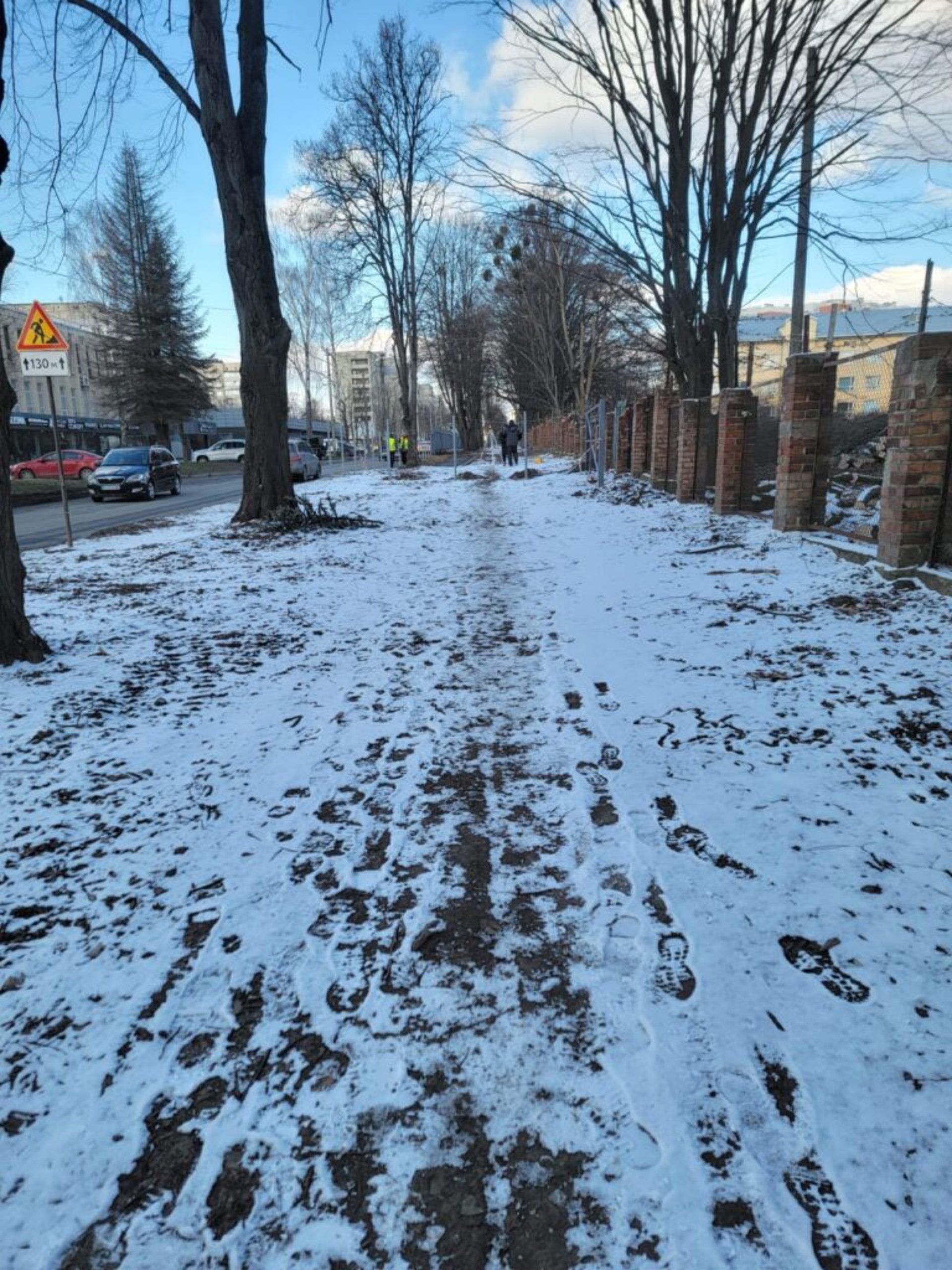 У Львові на місці скандального будівництва зрізали дерева, фото Четверта студія
