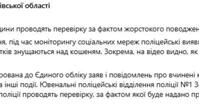 На Львівщині діти познущались із кошенята