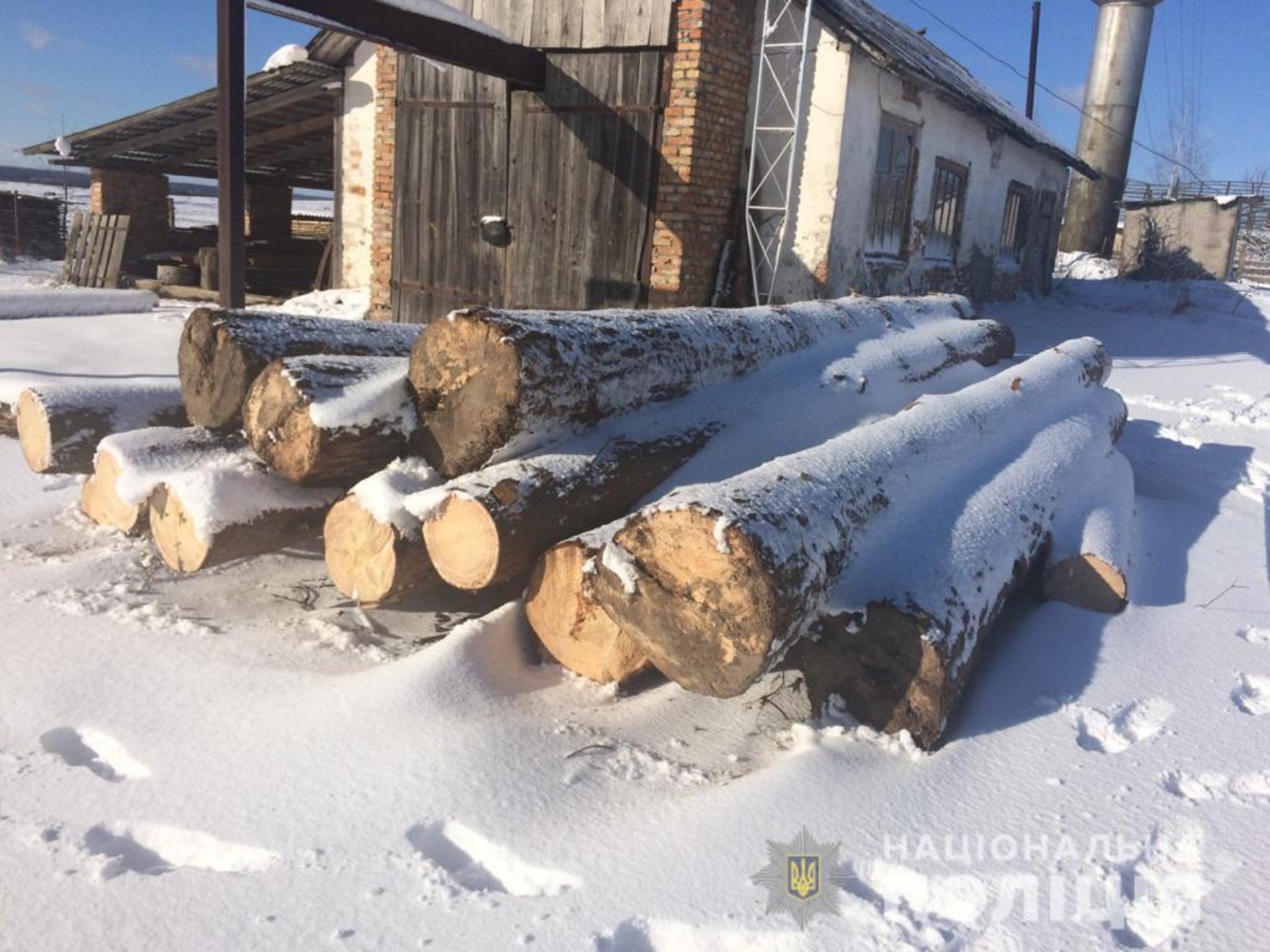 На Львівщині продовжують незаконно вирубувати ліс. Фото: ГУ НП у Львівській області.