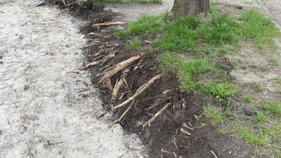 У Львові чиновники вляпалися у новий скандал