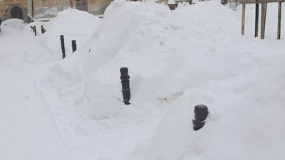 У Львові заробляють гроші відкопуванням авто з-під снігу (ВІДЕО)